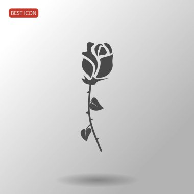 gül çiçeği simgesi