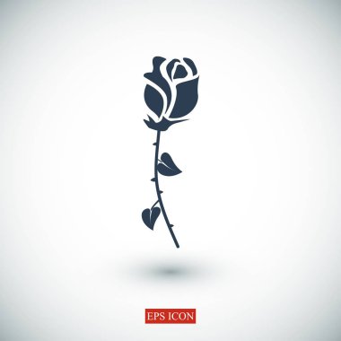 gül çiçeği simgesi