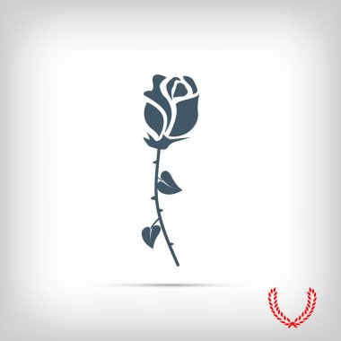 gül çiçeği simgesi