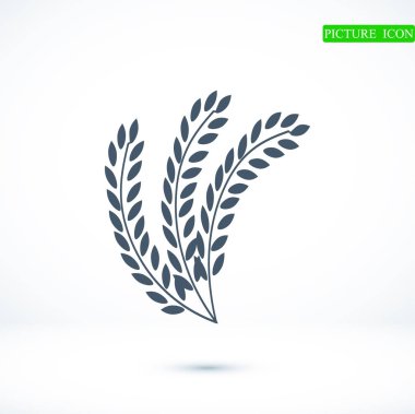 Buğday düz simgesi