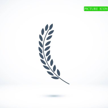 Buğday düz simgesi