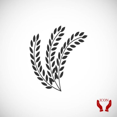 Buğday düz simgesi