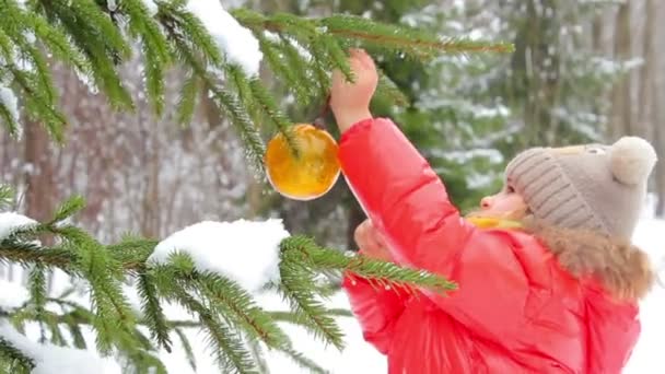 Flicka dekorerar en julgran i parken — Stockvideo