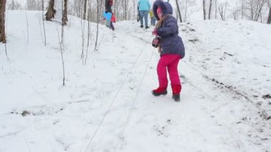 Kız bir kızak karlı bir tepede çeker.
