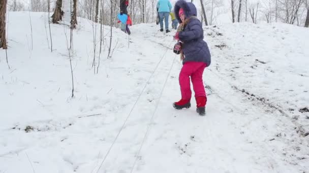 Девушка тянет сани на снежный холм — стоковое видео