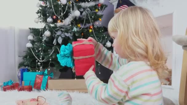 Little girl chooses a gift near the Christmas tree — Stock Video