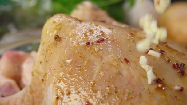Πέφτει γκρο πλαν των μπαχαρικών για το κοτόπουλο — Αρχείο Βίντεο