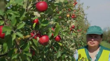 Ziraat Mühendisi olan elma ağaçlarının denetler