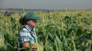 Mısır alanına yürüyor tulum kadında