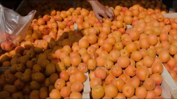 Zralé meruňky na farmářský trh — Stock video
