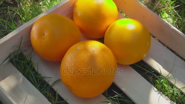 Hand zet rijpe sinaasappels in een houten doos — Stockvideo