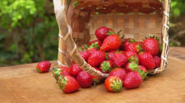 El sulu çilek bir sepetten alır.