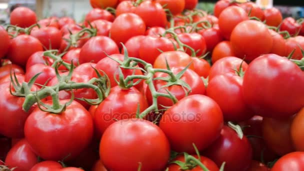 Tomates maduros en el mercado de los agricultores — Vídeo de stock