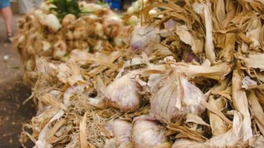 hasat sarımsak Çiftçi Market