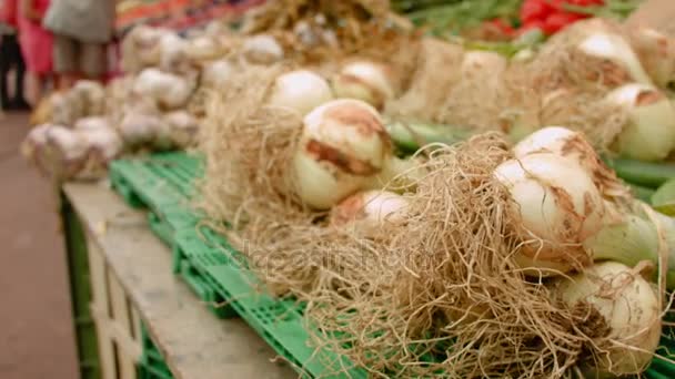 Recoltarea usturoiului pe piața agricolă — Videoclip de stoc