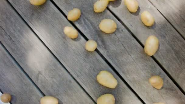 Kartoffeln auf Holzboden — Stockvideo