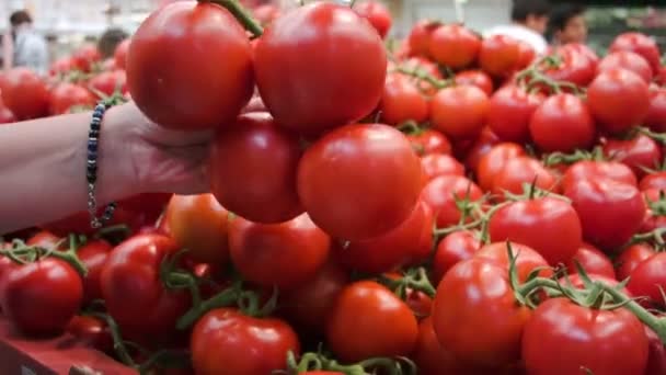 Tomates maduros en el mercado de los agricultores — Vídeos de Stock