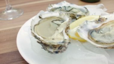 Bir tabak taze istiridye ve el alır