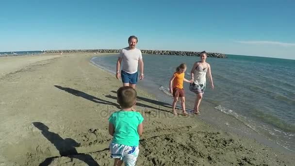 Fille recueillir coquillages près de la plage — Video