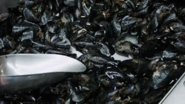 Midye deniz ürünleri piyasada