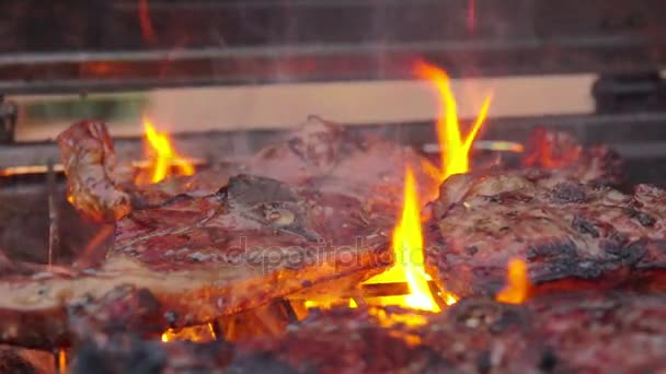 Pedaço de bife de cordeiro polvilhado com tempero — Vídeo de Stock