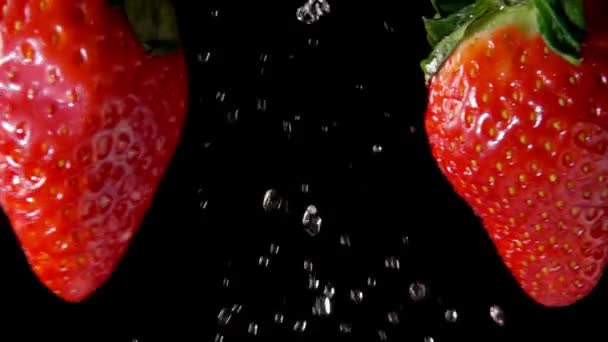 Twee natte aardbeien botsen met elkaar — Stockvideo