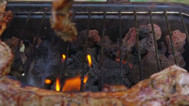 Biff från lamm ben är vände över på en grill — Stockvideo