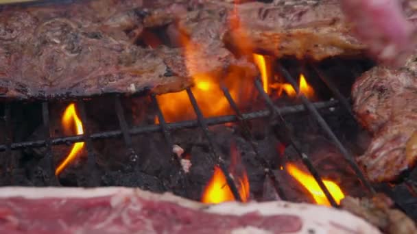 Steak d'une jambe de mouton est grillé — Video