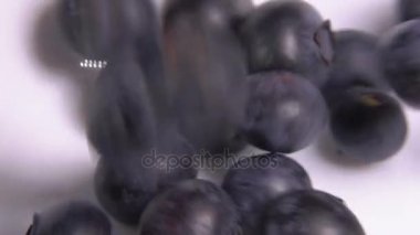 Çok beyaz kase içine düşen yaban mersini