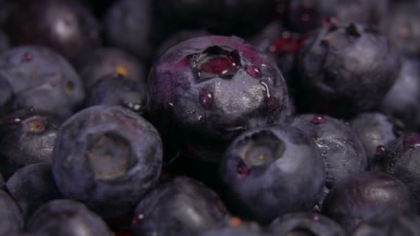 Safttropfen fallen auf reife Blaubeeren — Stockvideo