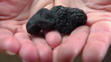 Ellerini tutar siyah truffles yumrular