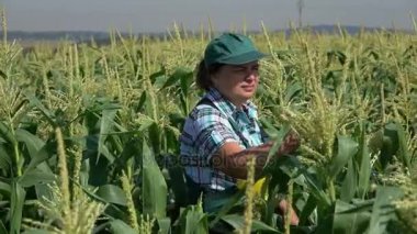 Mısır alanına yürüyor tulum kadında