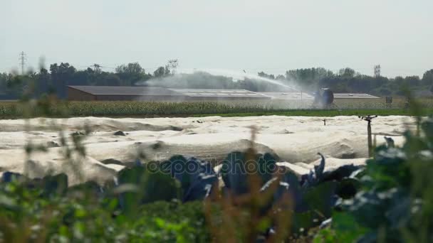 Automatic irrigation system on the farm — Stock Video