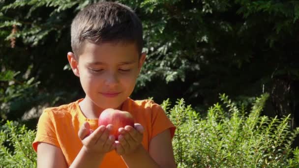 Il ragazzo sente l'aroma della pesca. — Video Stock