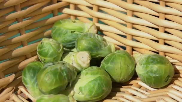 Spruiten worden gebracht in een mandje — Stockvideo