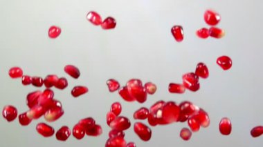 Beyaz bir arka plan üzerinde kırmızı olgun garnet tohum sineği