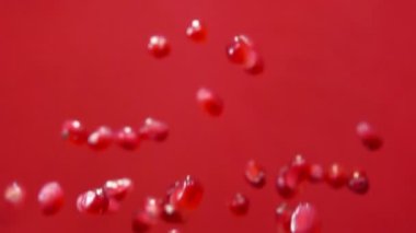 Kırmızı bir arka plan üzerinde kırmızı olgun garnet tohum sineği