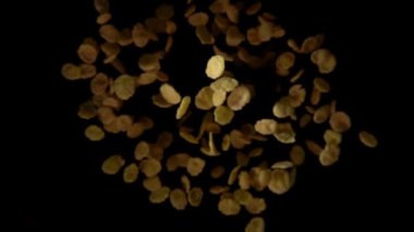 Kahvaltı gevreği sinek kameraya