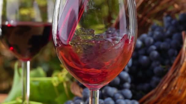 Kırmızı şarap bardağa dökülür. — Stok video