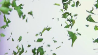 Yeşil maydanoz uçuyor