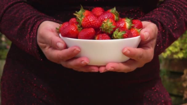 Ruce ukazují misku jahod — Stock video