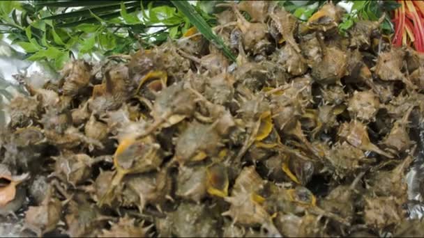 Saang concha de aranha no mercado de frutos do mar — Vídeo de Stock
