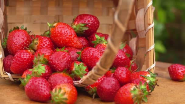 Close-up de morangos frescos em uma cesta — Vídeo de Stock