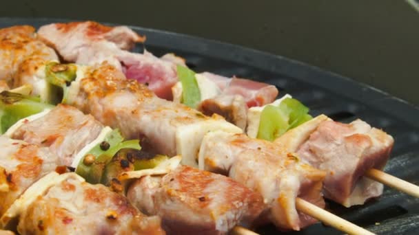 Mięso z indyka na kije przerzuca na grill — Wideo stockowe