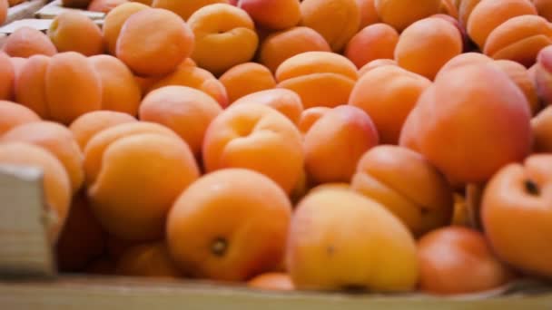 Albaricoques maduros en el mercado de los agricultores — Vídeo de stock