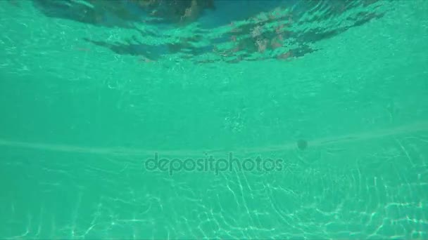 Niño nadando en la piscina bajo el agua — Vídeo de stock