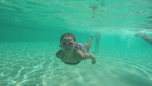 Chica bucea bajo el agua — Vídeos de Stock