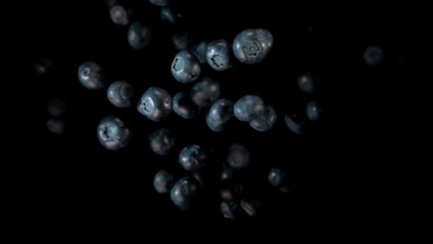 Blueberry rebondissant contre la caméra — Video