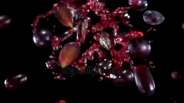Grapes with juice flies to the camera — Stock Video