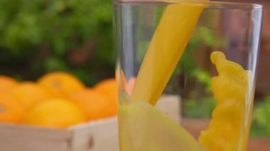 portakal suyu bir bardak içine döktü